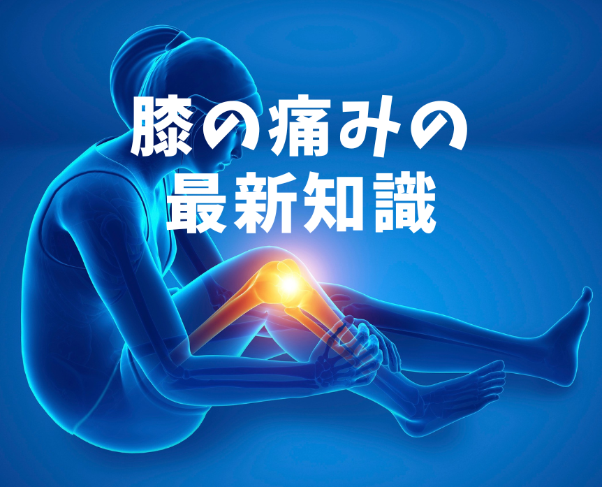 膝の痛みの最新知識 | 腰痛・肩こりの原因を全身姿勢から分析